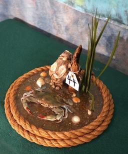 Blue Crab in Habitat Taxidermy