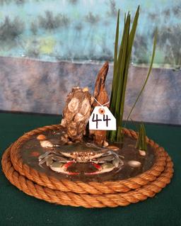 Blue Crab in Habitat Taxidermy