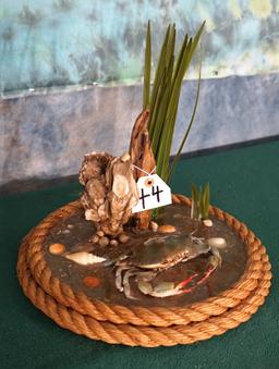 Blue Crab in Habitat Taxidermy