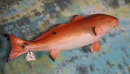 Real Skin 41 1/4" Trophy Redfish Taxidermy Fish Mount