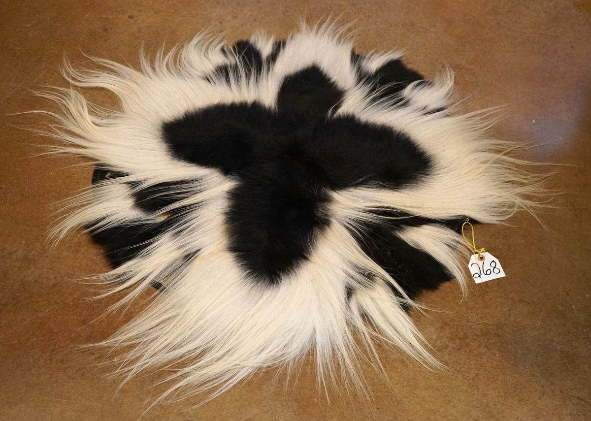 African Colobus Monkey Skins Circular Rug Taxidermy