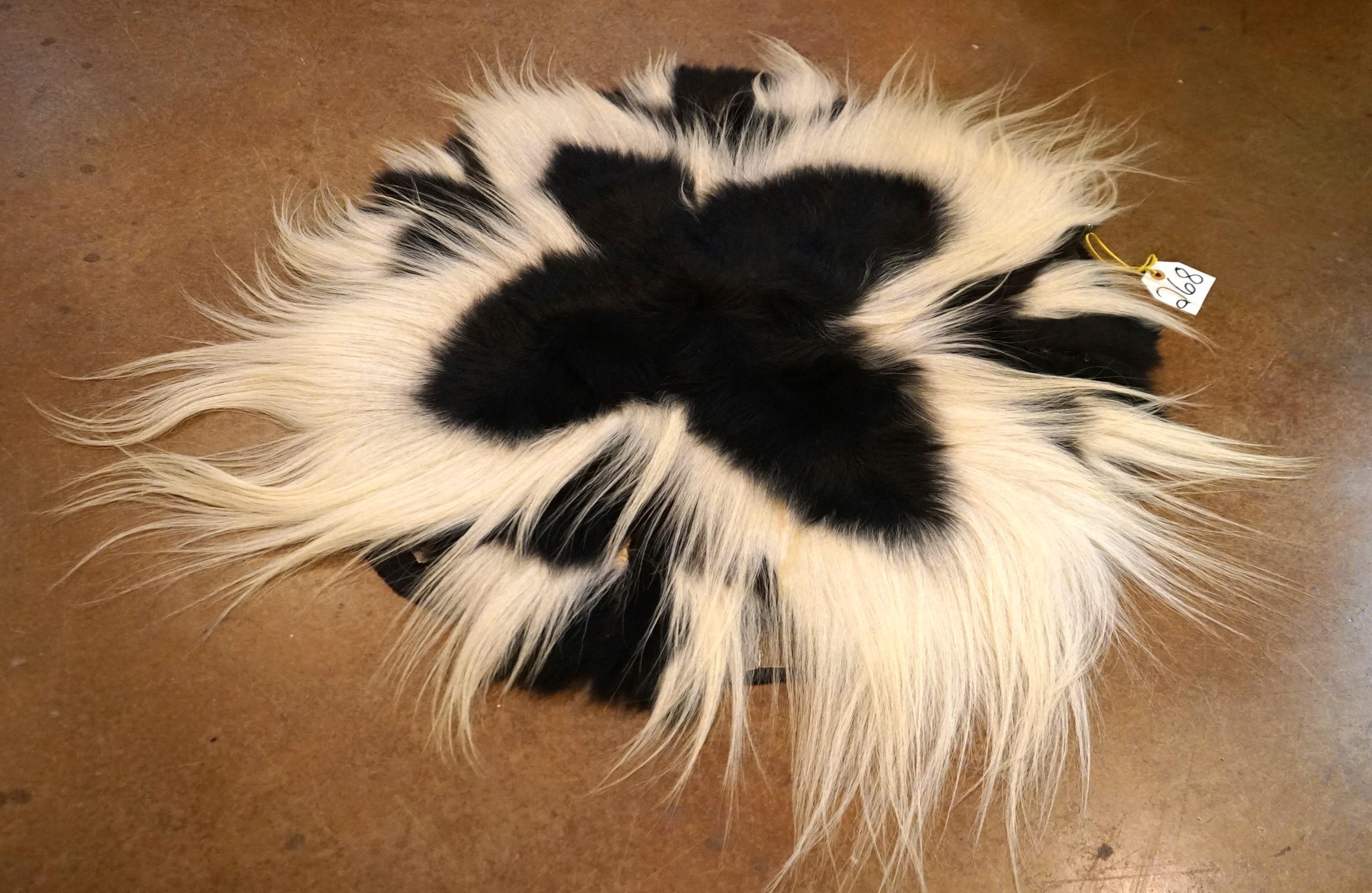 African Colobus Monkey Skins Circular Rug Taxidermy