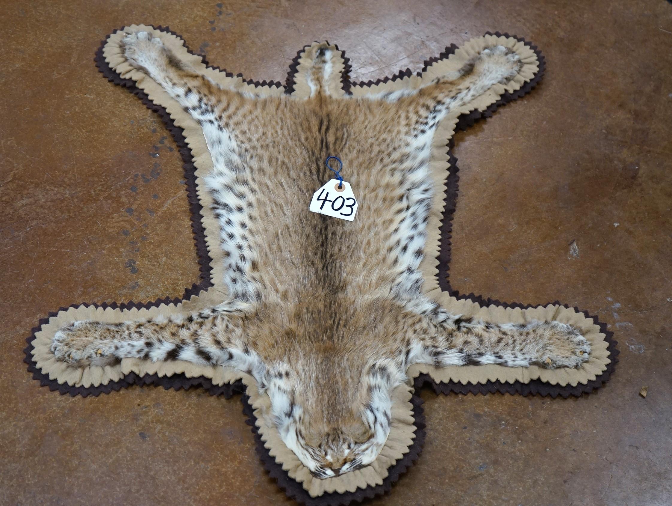 Bobcat Whole Flat Rug Taxidermy Mount