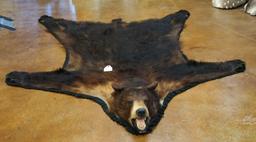 Black Bear Rug Taxidermy Mount