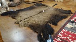 Soft Tanned Fully Mature American Bison Backskin Taxidermy