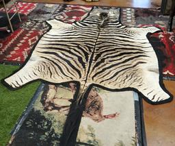 Beautiful African Zebra Rug Taxidermy Mount