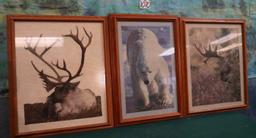 Three Dyed Fabric Frame Pictures of Wildlife