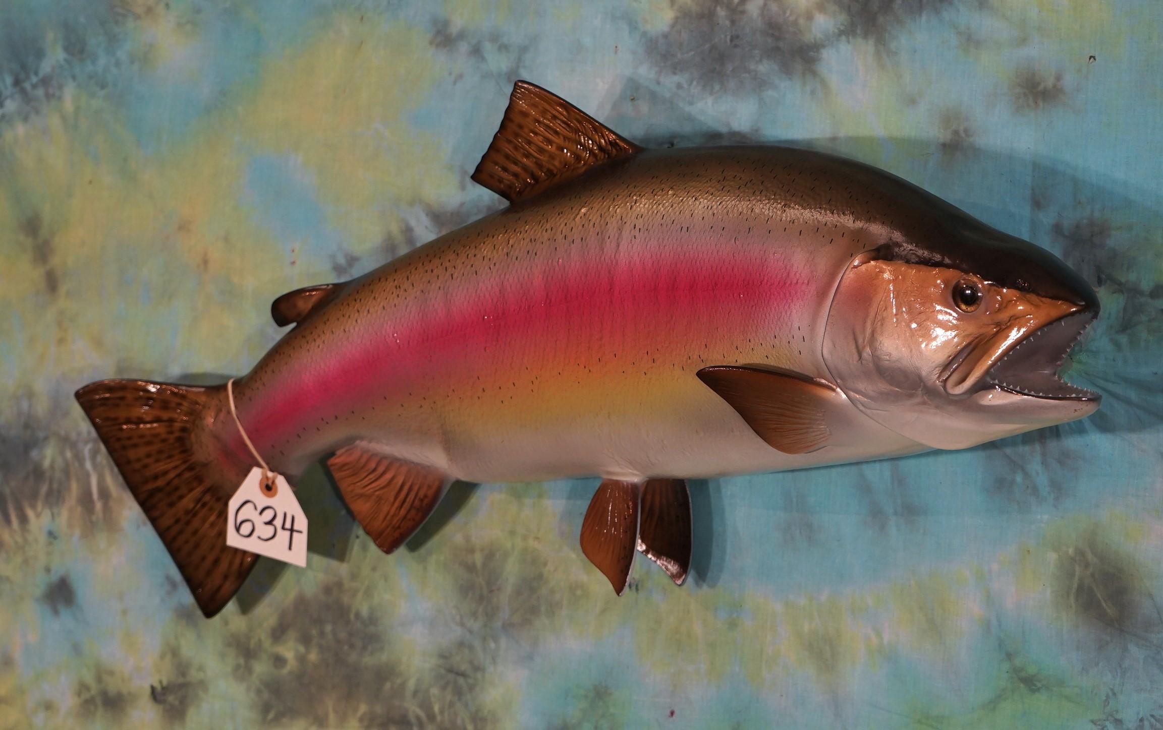 Brand New 29 1/2" Monster Rainbow Trout Fiberglass Reproduction Taxidermy Fish Mount