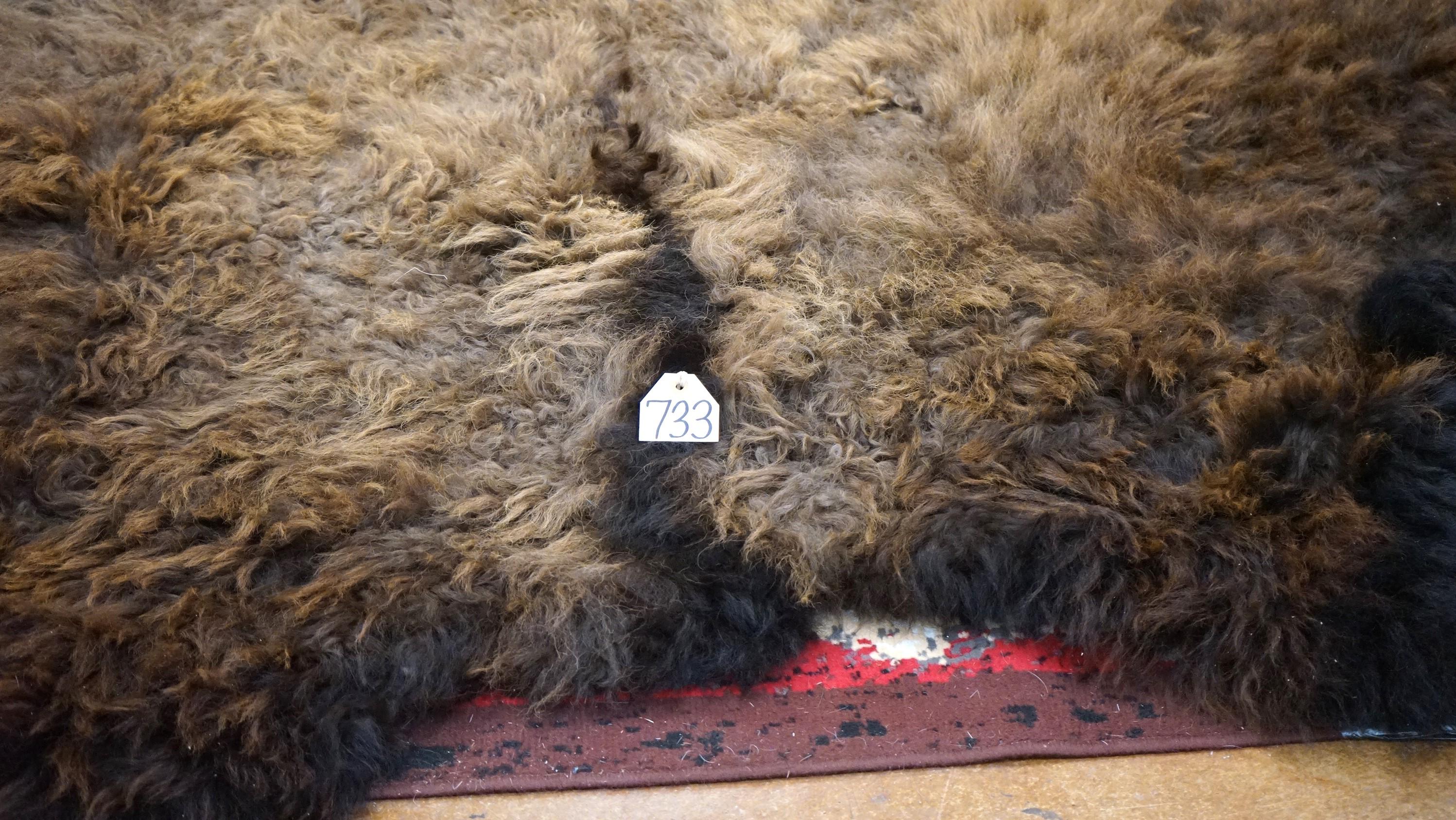 Large Soft Tanned Full Bison Back skin Taxidermy