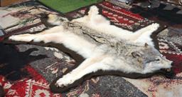 Large & Beautiful Timber Wolf Rug Taxidermy Mount