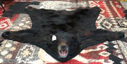 Black Bear Rug Taxidermy Mount
