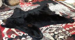 Black Bear Rug Taxidermy Mount