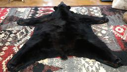 Black Bear Rug Taxidermy Mount