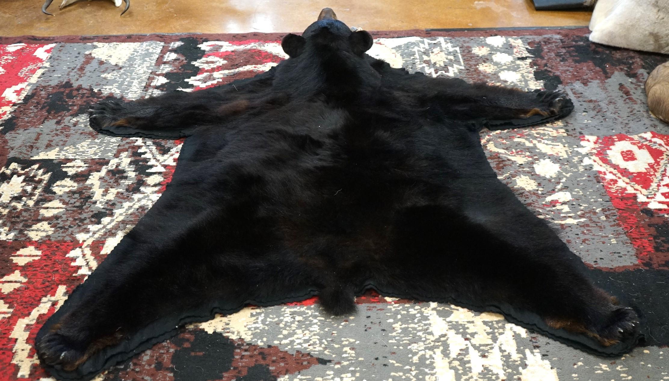 Black Bear Rug Taxidermy Mount