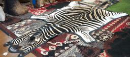 Brand New AAA  African Zebra Rug Taxidermy Mount