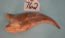 Awesome, Authentic, & Extremely Rare 7 1/2" Spinosaur Dinosaur Hand Claw Fossil