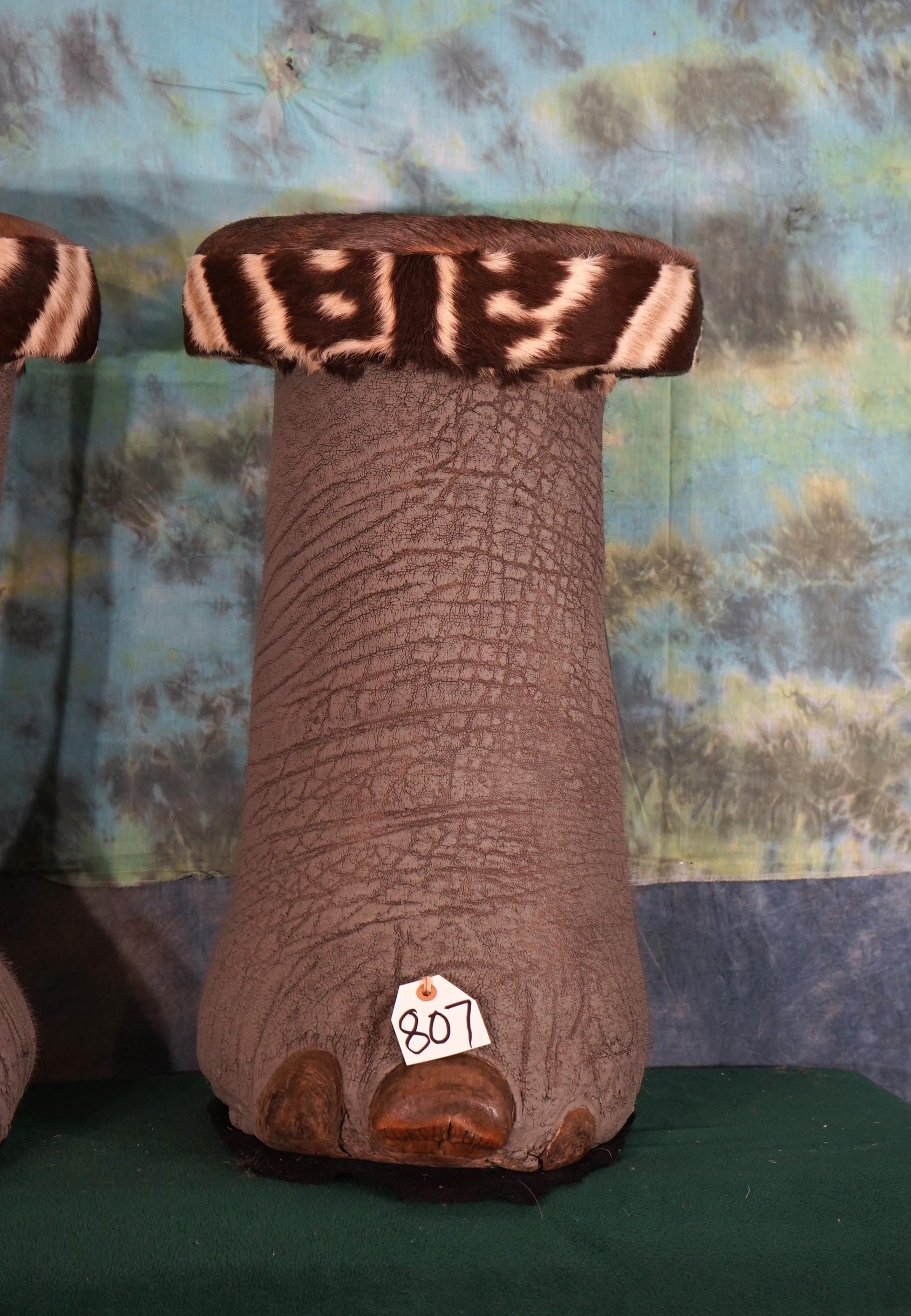 Pair of African Elephant Footstools with Zebra Skin Tops Taxidermy **U.S. Residents Only!**