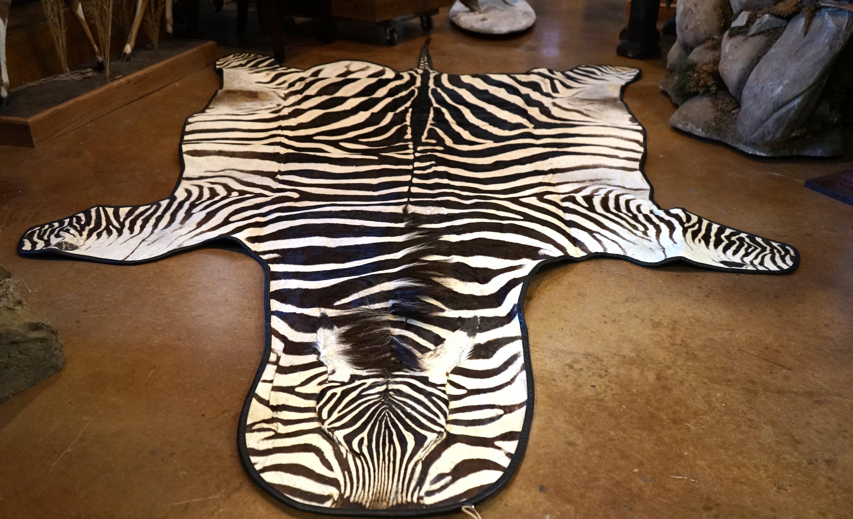 AAA Grant's East African Zebra Rug Taxidermy Mount