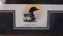 Framed Print of Loons