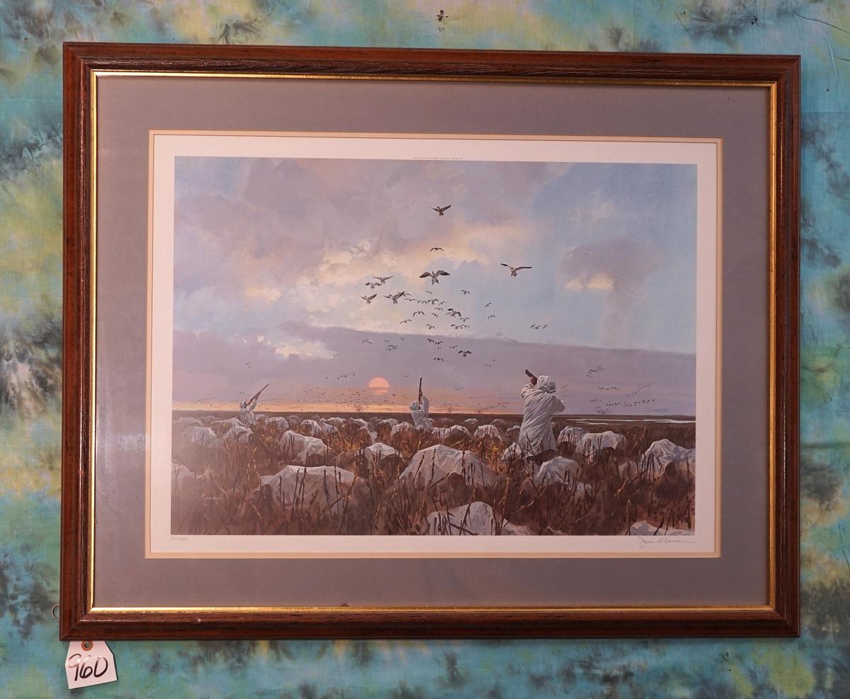 Framed Print of Hunting Snow Geese