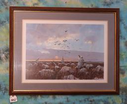 Framed Print of Hunting Snow Geese