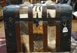 Old Circa 1910-20's Steamer Trunk Antique with African Skins Decor