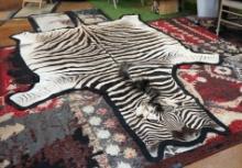 Beautiful African Zebra Rug Taxidermy Mount
