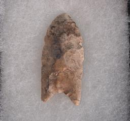 Authentic Paleo Clovis Point Artifact Arrowhead with Display Case