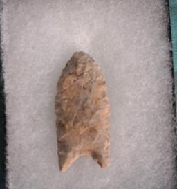 Authentic Paleo Clovis Point Artifact Arrowhead with Display Case