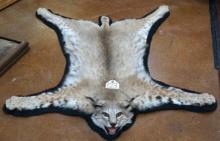Very Nice Bobcat Felted Rug Taxidermy Mount