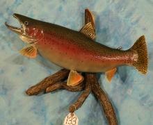 Awesome 26" Fiberglass Reproduction Rainbow Trout Taxidermy Fish Mount
