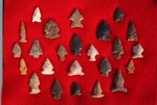 New Display Case with 24 Authentic Bird Point types of Arrowheads