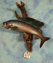 Real Skin 18" Arctic Grayling Taxidermy Fish Mount