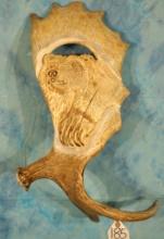 Moose Antler with Grizzly Bear Carving