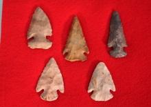 (5) Authentic Grade 8 to 9 Archaic Spear Points and Arrowheads in Nice Display Case