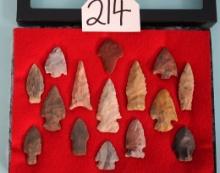 (15) Archaic Authentic Arrowhead Artifact in New Display Case