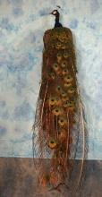 Brand New Common Blue Peacock Taxidermy Bird Mount