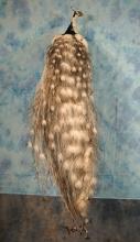 Brand New Beautiful Silver Piebald Peacock Taxidermy Bird Mount
