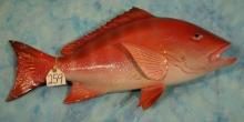 28 1/2" Fiberglass Reproduction Red Snapper Taxidermy Fish Mount
