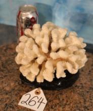 Gorgeous White Coral Cluster on Stand