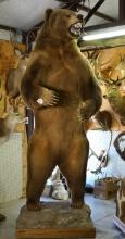 WOW! Huge Alaskan Brown Bear Full Body Taxidermy Mount