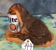 Drunken Squirrel Novelty Taxidermy Mount