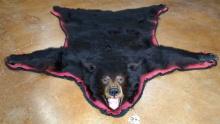 Black Bear Rug Taxidermy Mount