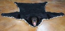 Nice Black Bear Rug Taxidermy Mount