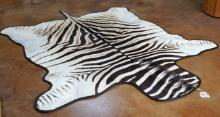Beautiful Chapman's Zebra Padded Rug Taxidermy Mount