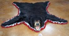 Very Nice Montana Black Bear Rug Taxidermy Mount