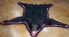 AAA Black Bear Taxidermy Rug Mount