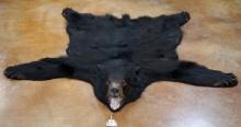 Good Quality Black Bear Rug Taxidermy Mount
