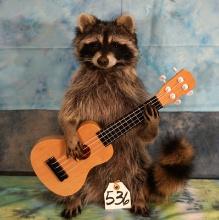 Novelty Raccoon Playing Guitar Full Body New Taxidermy Mount