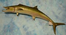 34" Fiberglass Reproduction Spanish Mackerel Taxidermy Fish Mount